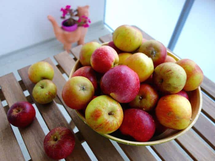 Ernährung bei Arthrose