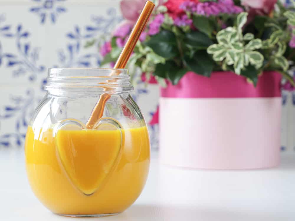 Slow Juicer Entsafter